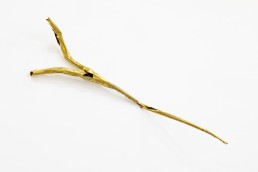 ramo-2021-ottone-50x97x16-cm